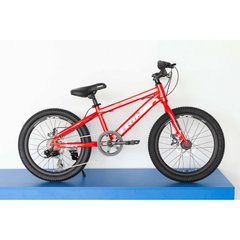 Велосипед детский Trinx Junior 1.0 20" Red-white-black