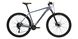 Гірський велосипед WINNER 29" SOLID-GT 2024 (L, сірий матовий)