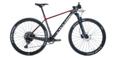 Гірський велосипед CYCLONE 29" PRO 1 carbon 2022 (17”, сірий/червоний)