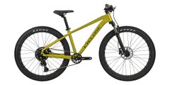 Гірський велосипед CYCLONE RX 26" 2025 (S, cалатовий матовий)