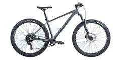 Гірський велосипед CYCLONE 29" SLX PRO trail 2 2022 (M, сірий)